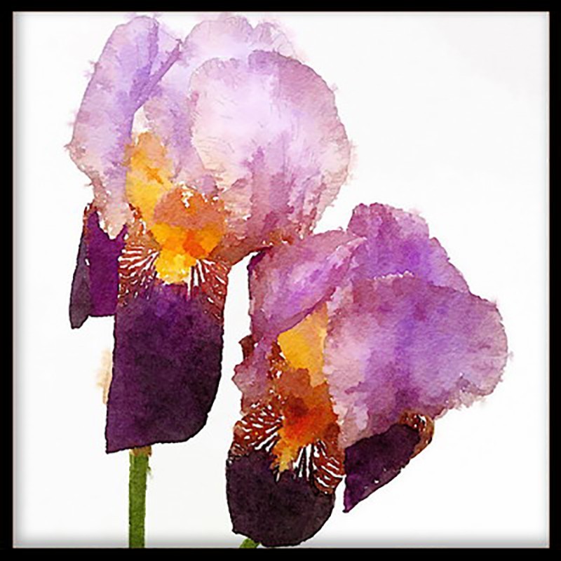 Cuadros Modernos-Flores abstractas violeta